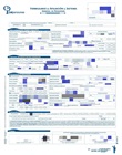 Copia del formulario diligenciado de afiliación a Colpensiones 